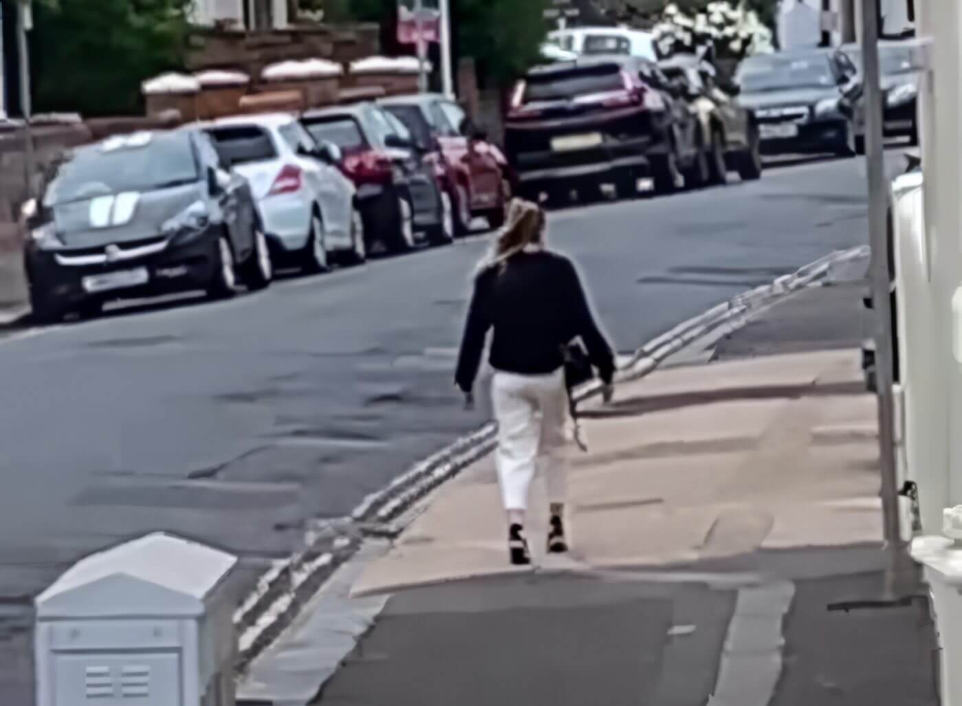 woman frozen in street tiktok video