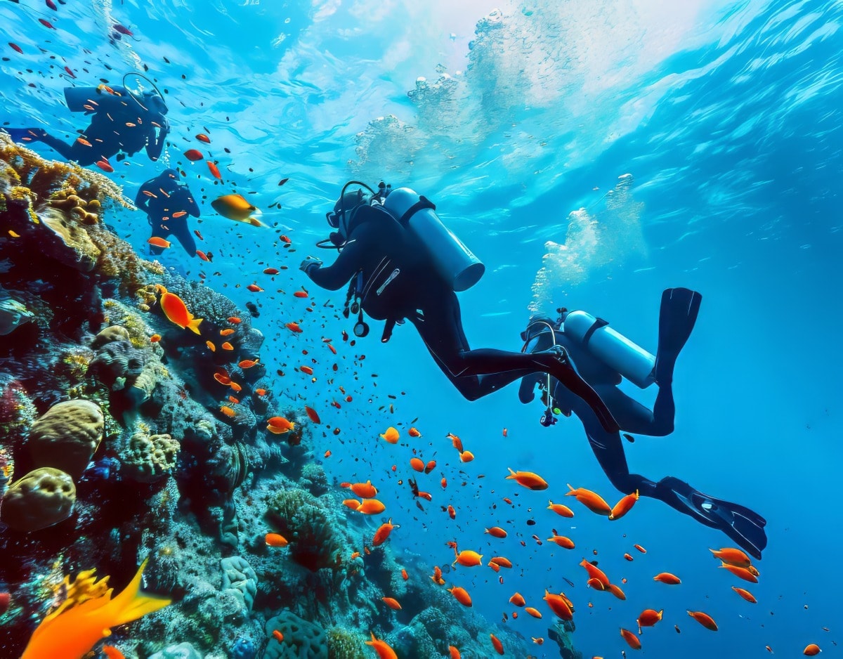 Andaman & Nicobar Islands underwater adventure