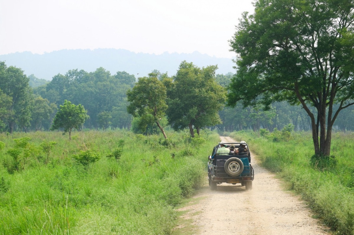 Top Places to Visit in Uttarakhand - Explore Now! 6 Jim Corbett National Park